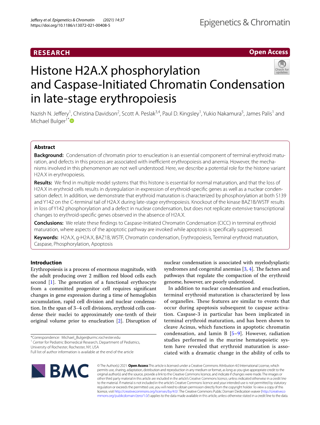 Histone H2A.X Phosphorylation and Caspase-Initiated Chromatin