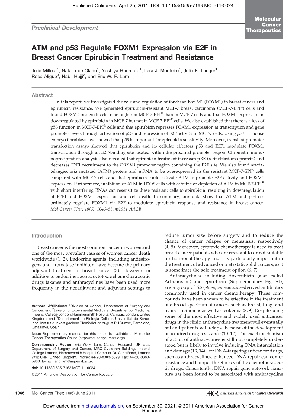 ATM and P53 Regulate FOXM1 Expression Via E2F in Breast Cancer Epirubicin Treatment and Resistance