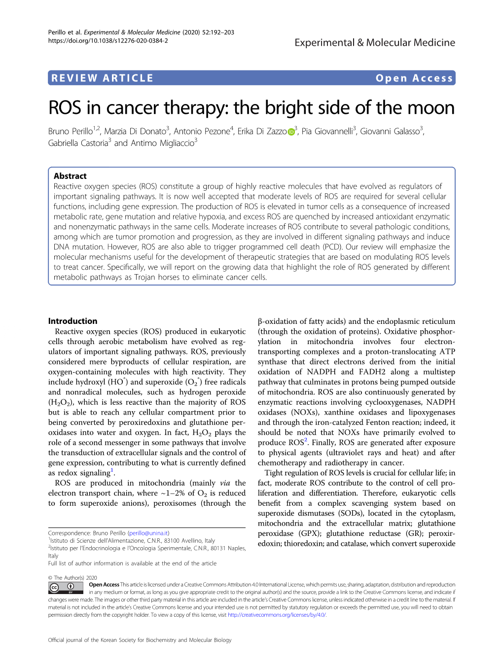 ROS in Cancer Therapy: the Bright Side of the Moon