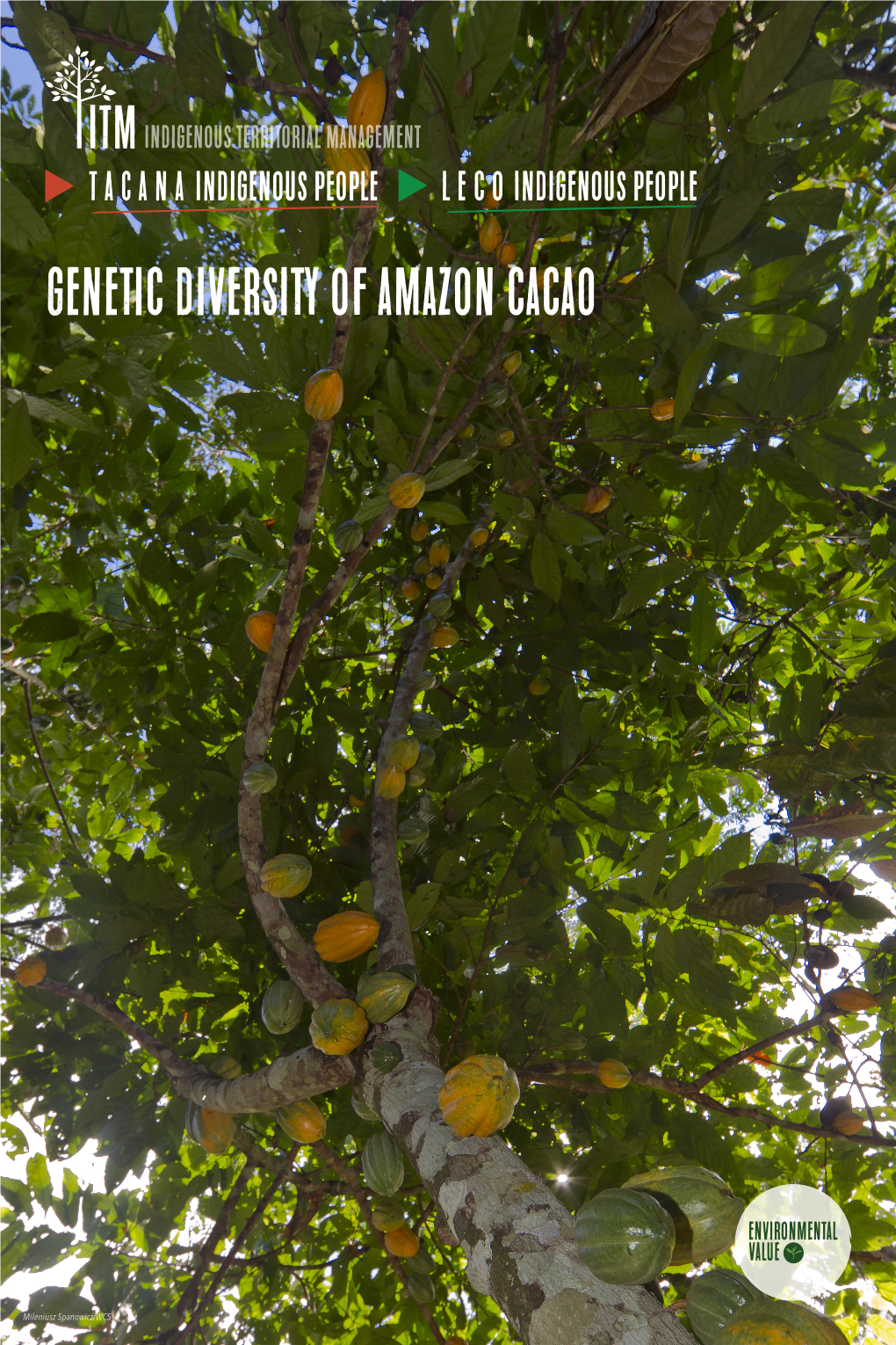 Genetic Diversity of Amazon Cacao