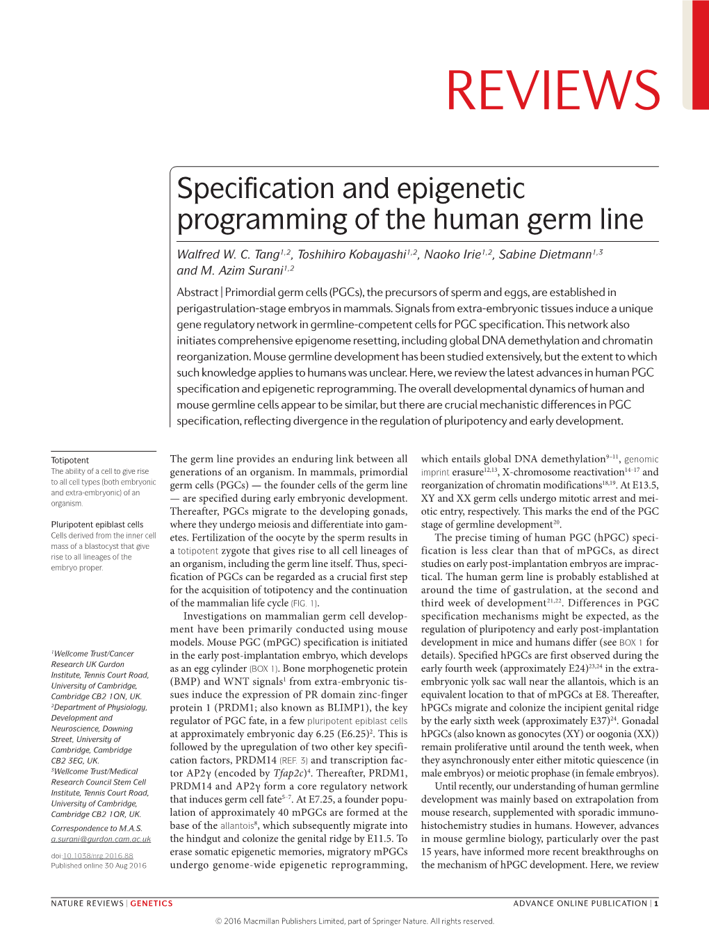 Specification and Epigenetic Programming of the Human Germ Line