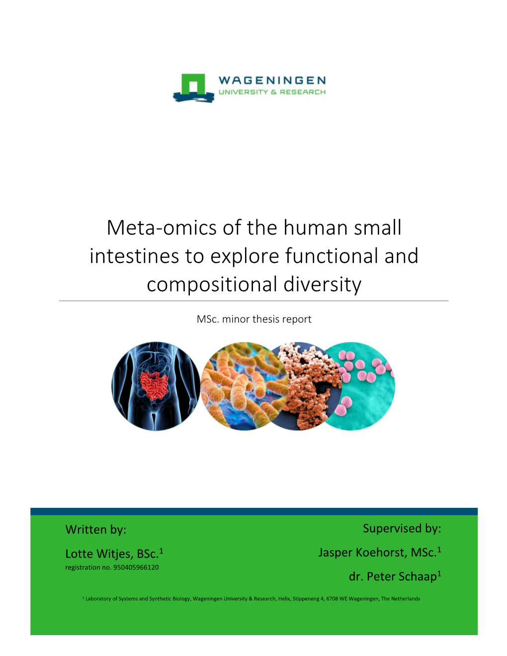 Meta-Omics of the Human Small Intestines to Explore Functional and Compositional Diversity