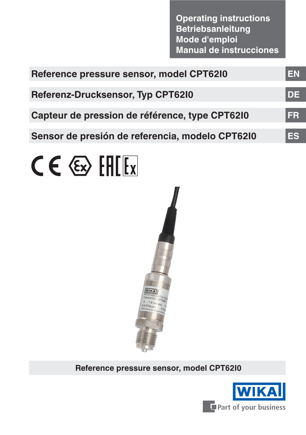 Reference Pressure Sensor, Model CPT62I0 Referenz-Drucksensor, Typ CPT62I0 Capteur De Pression De Référence, Type CPT62I0 Sens