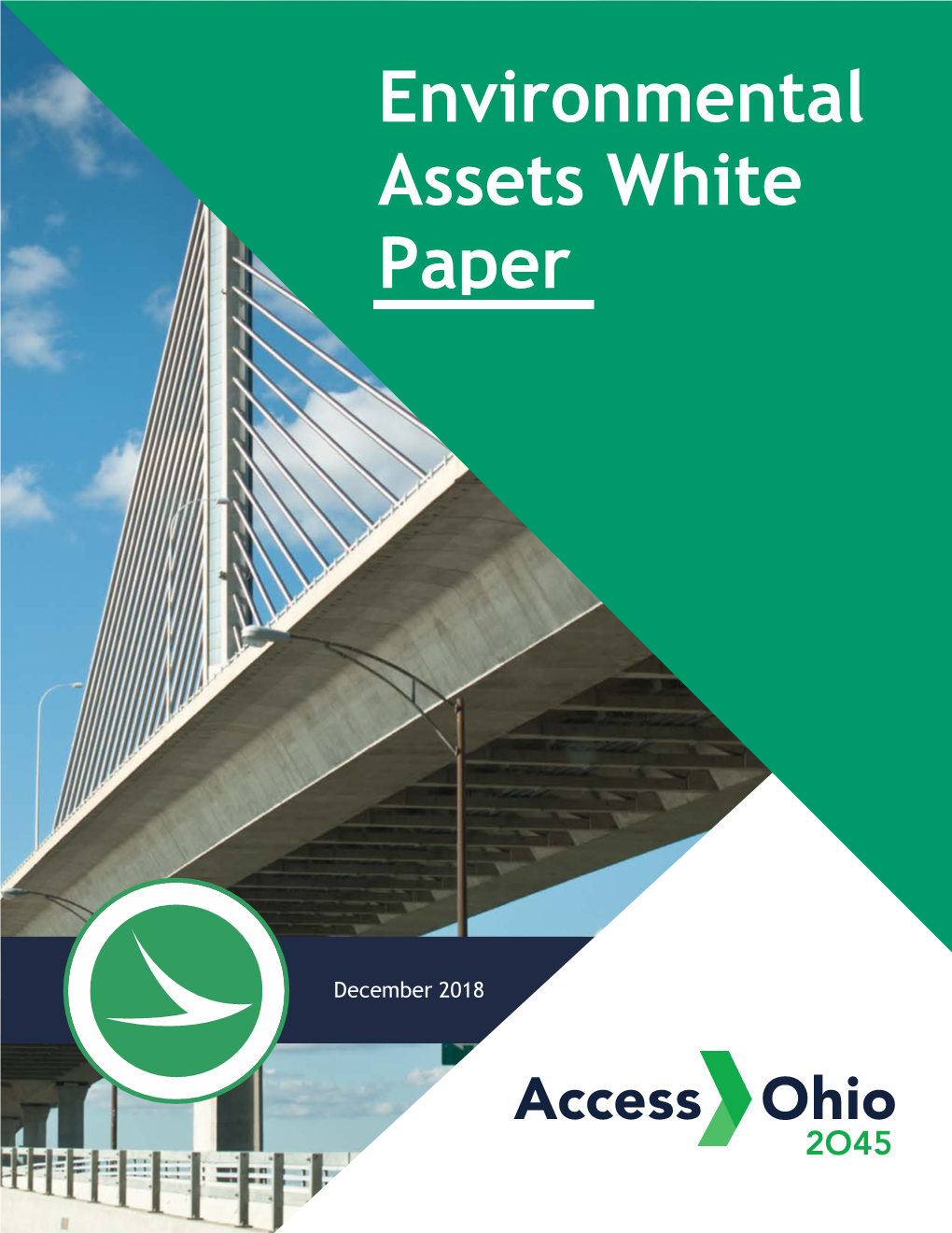 Environmental Assets White Paper