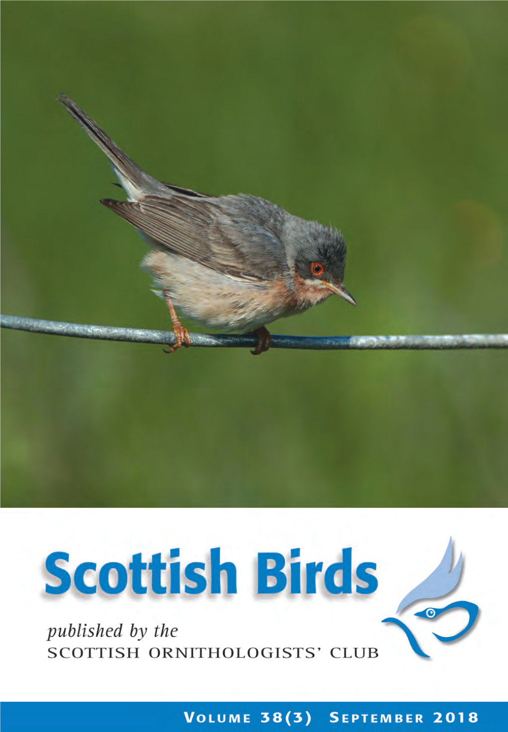 Scottish Birds 38:3 (2018)