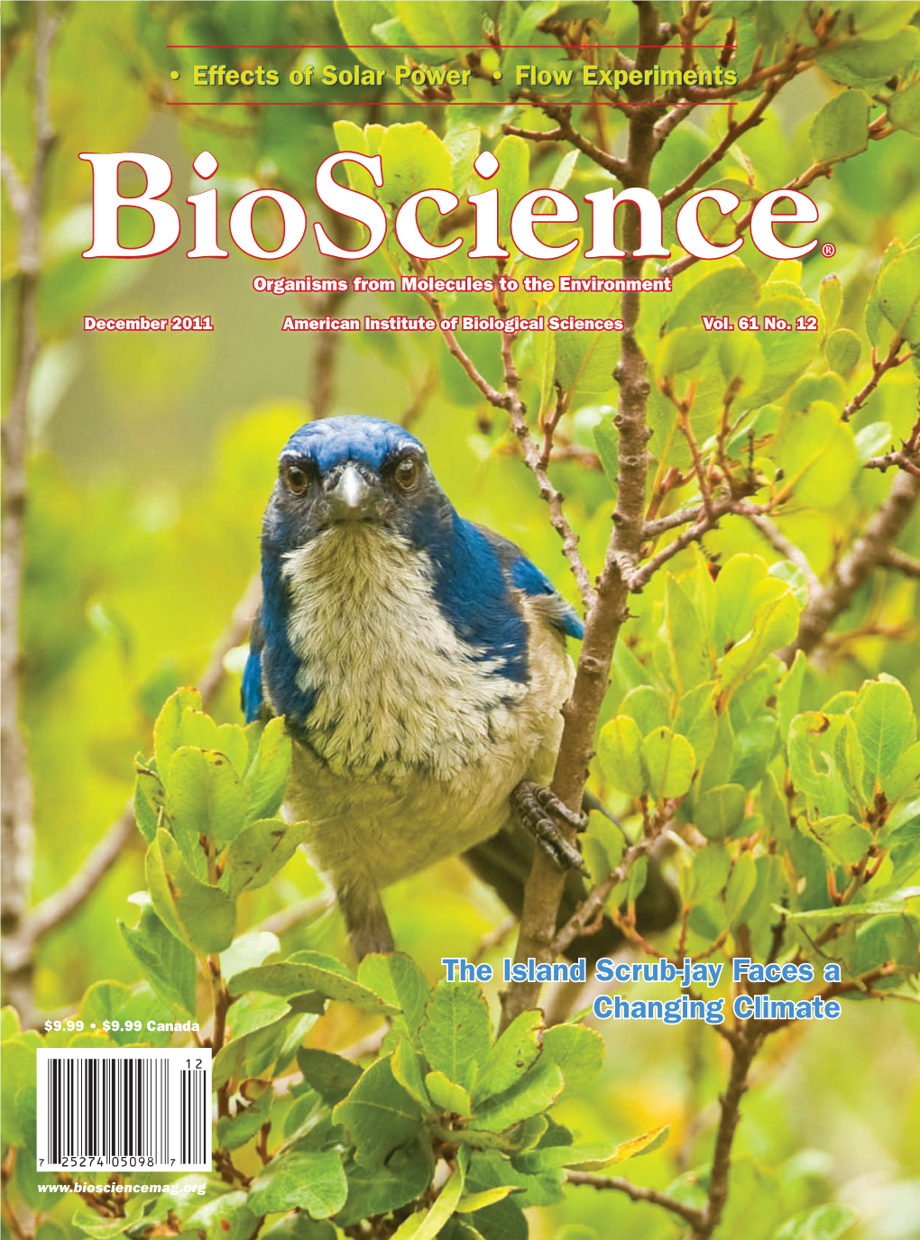 Proactive Conservation Management of an Island-Endemic Bird Species in the Face of Global Change