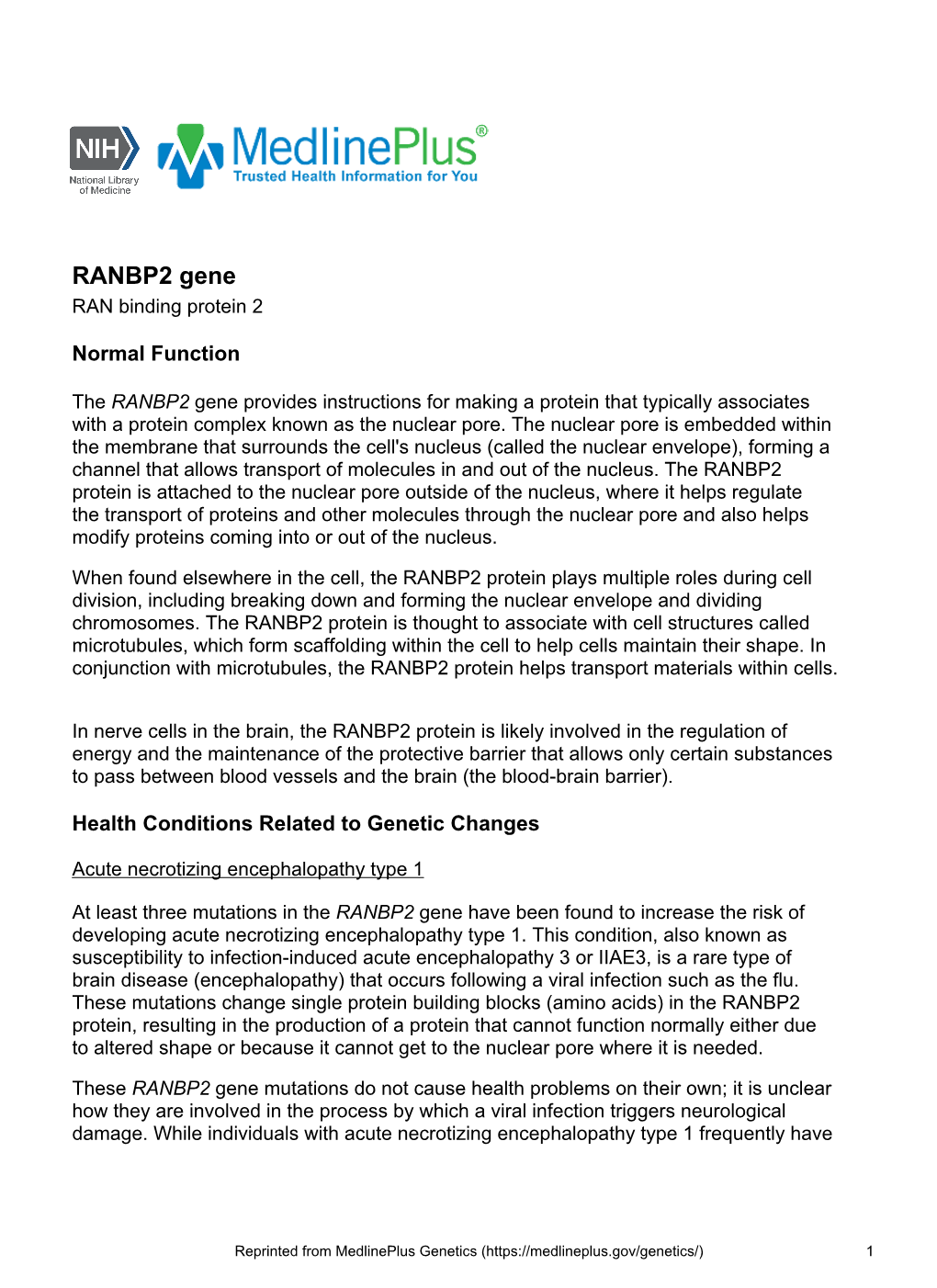 RANBP2 Gene RAN Binding Protein 2