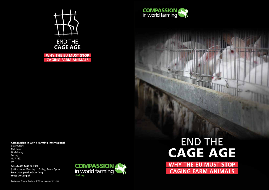 End the Cage Age: Why the EU Must Stop Caging Farm Animals