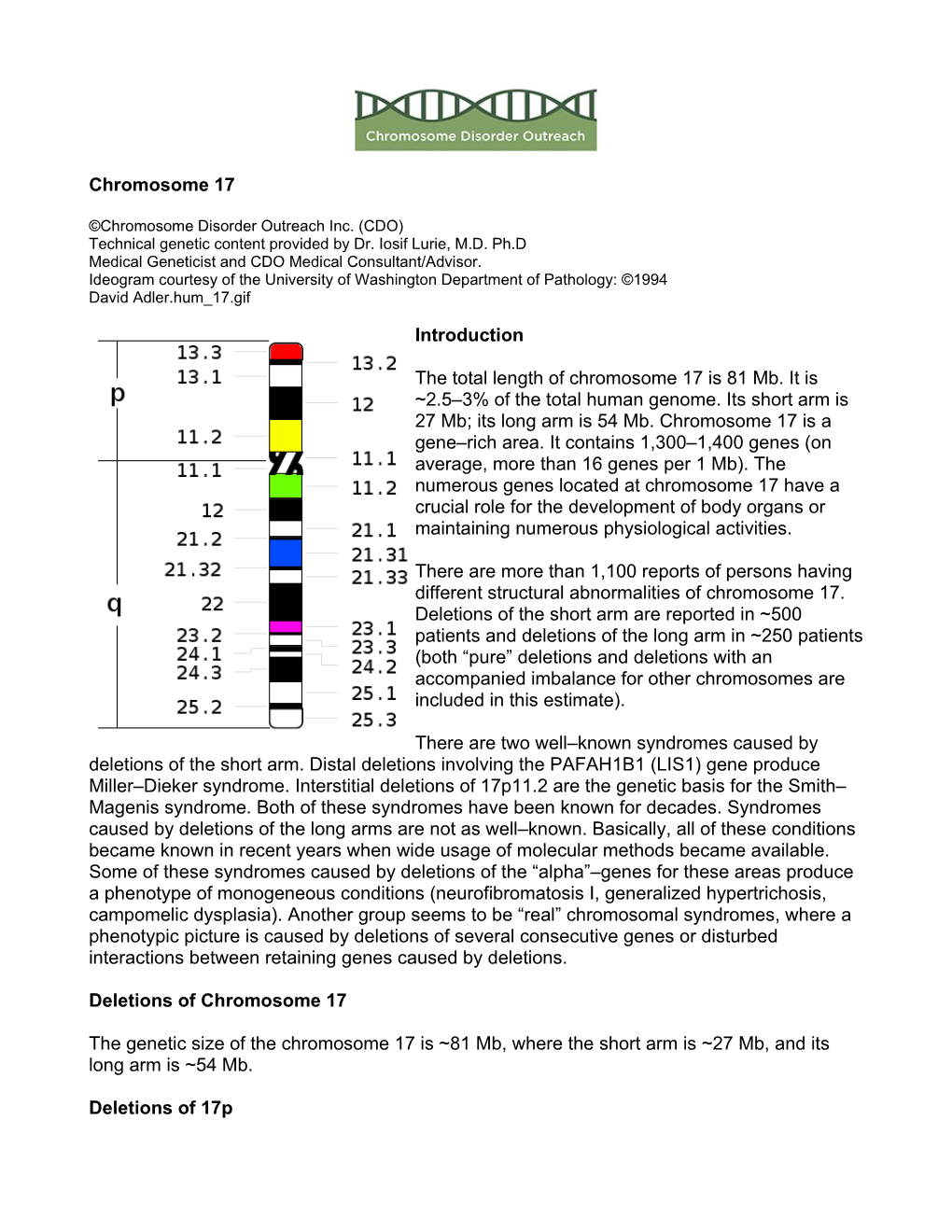 17 Chromosome Chapter