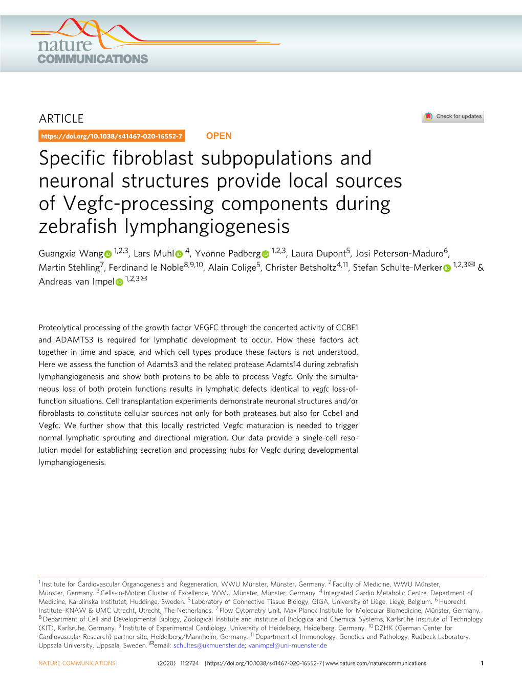 Specific Fibroblast Subpopulations and Neuronal Structures Provide Local