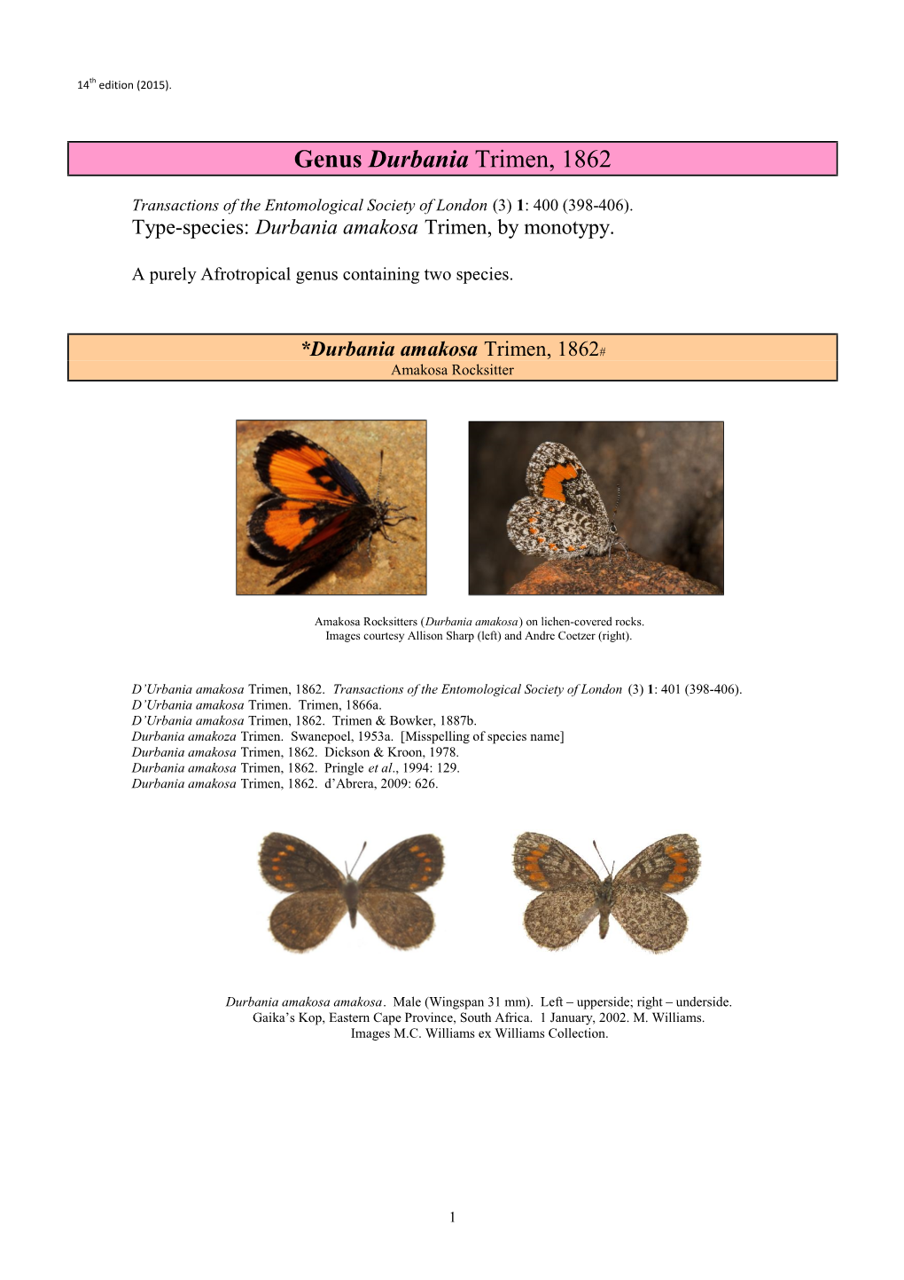 204 Genus Durbania Trimen