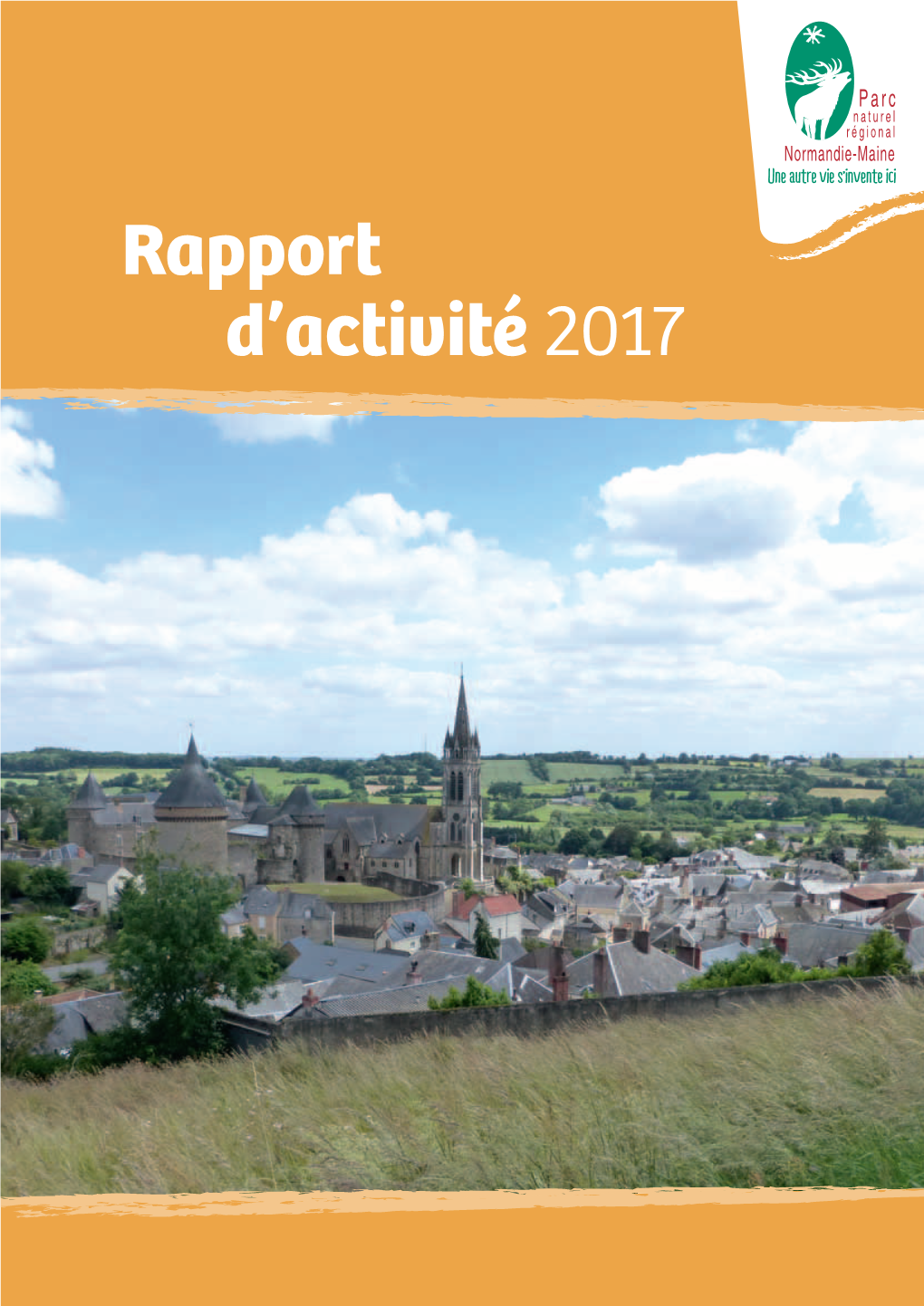 Rapport D'activité 2017