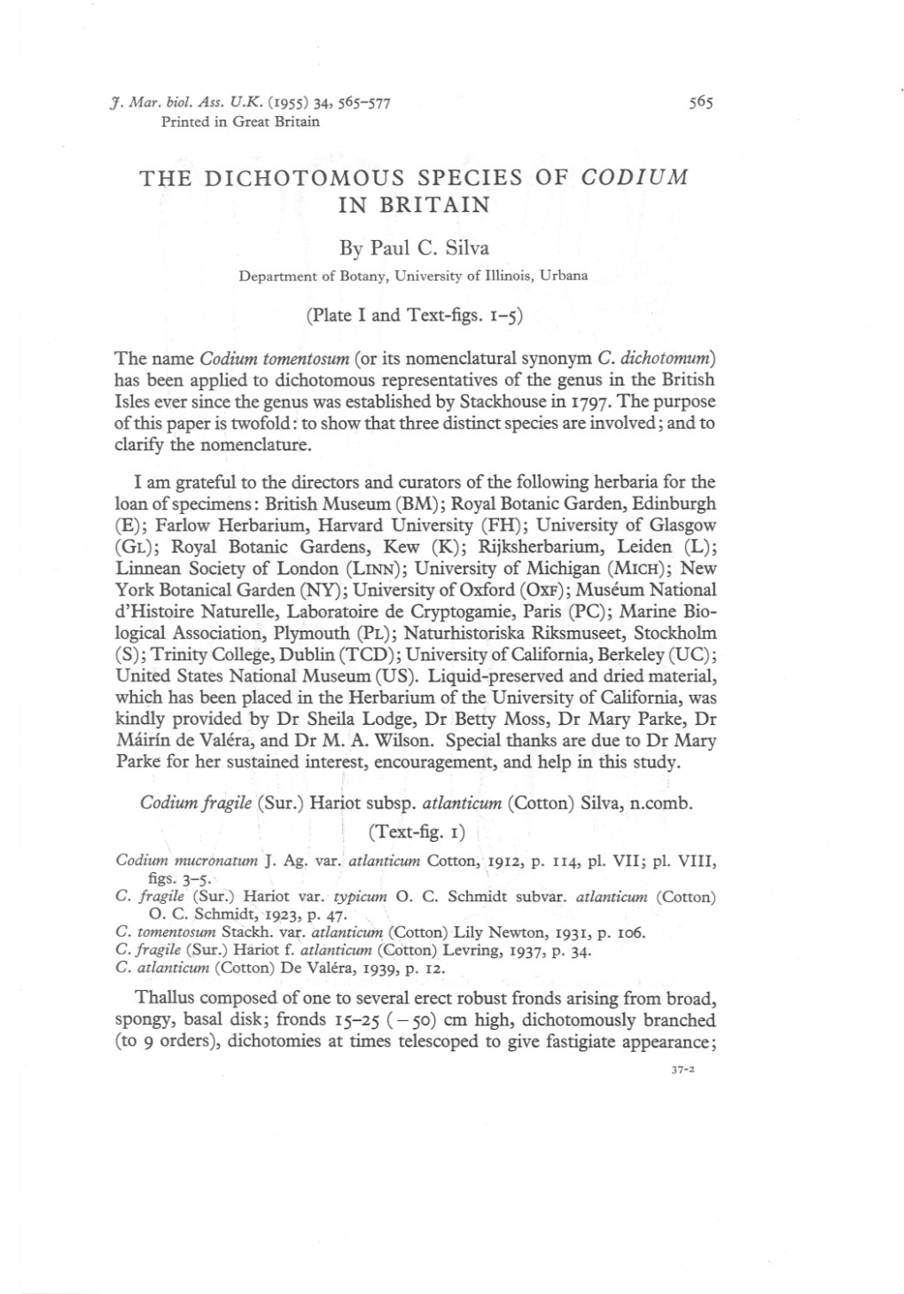 THE DICHOTOMOUS SPECIES of CODIUM in BRITAIN by Paul C. Silva