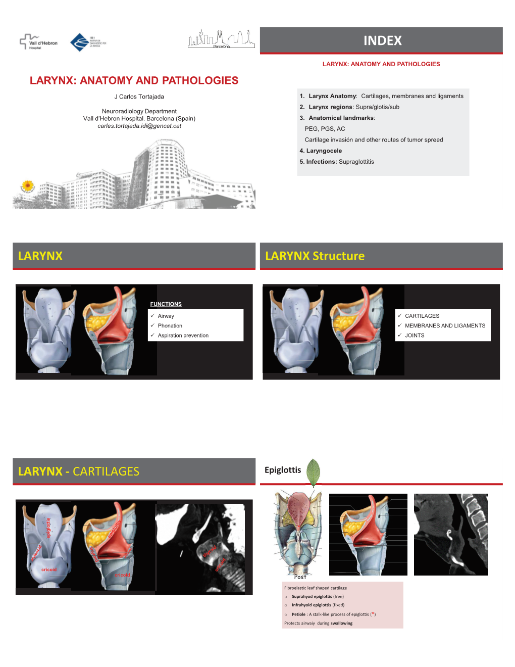 17192-LARYNX ANATOMY and PATOLOGY Dr. Bustelo.Pdf