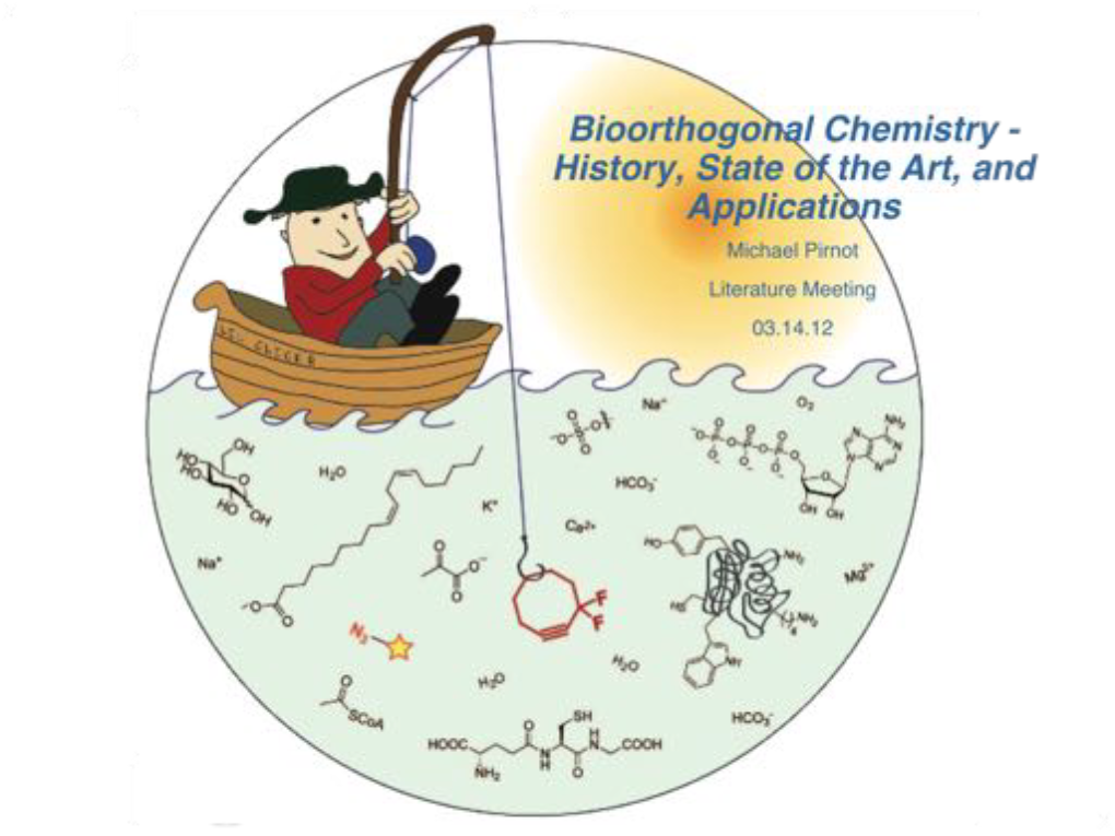 Bioorthogonal Chemistry - Requirements