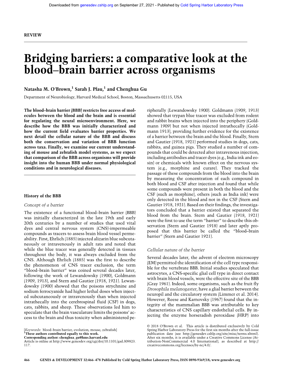 A Comparative Look at the Blood–Brain Barrier Across Organisms