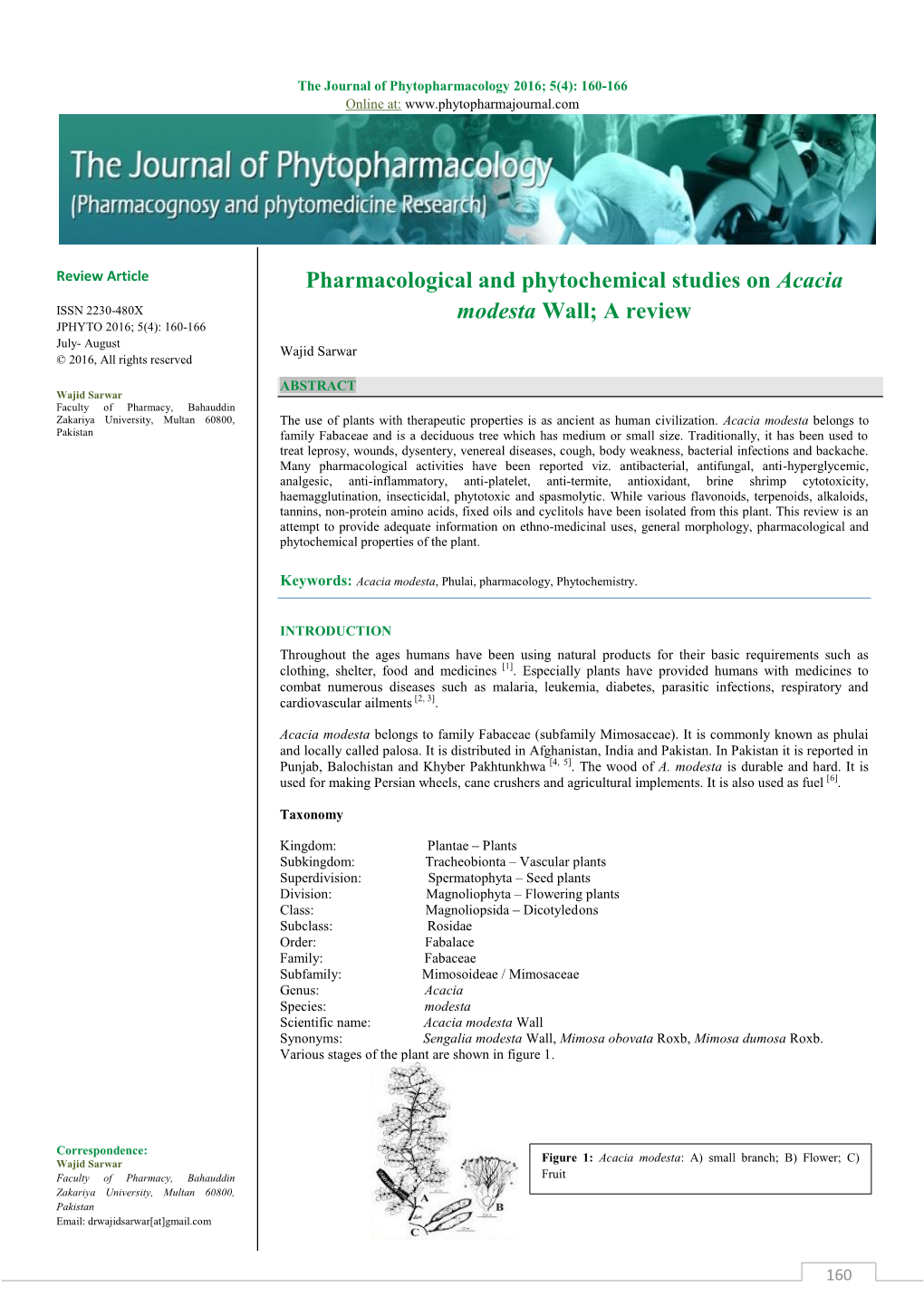 Pharmacological and Phytochemical