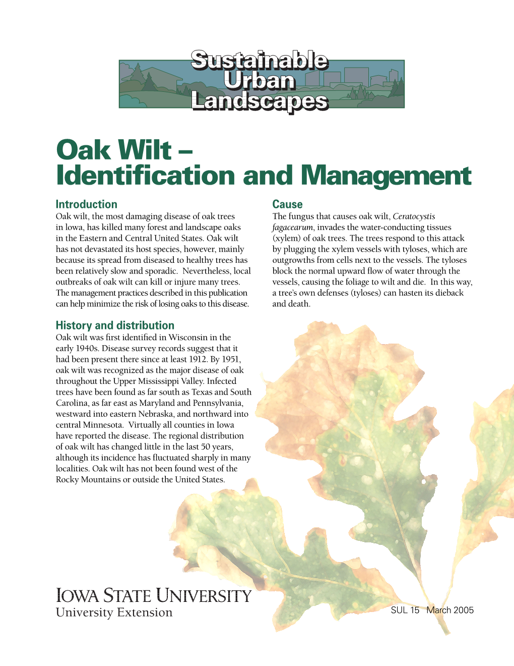 Oak Wilt -- Identification and Management