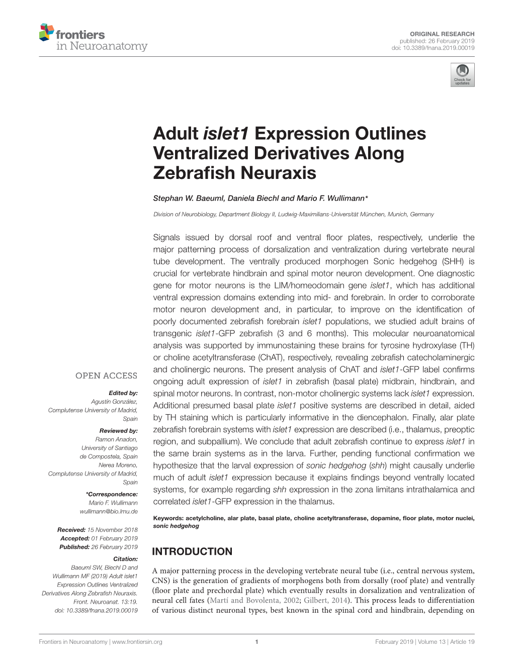 Adult Islet1 Expression Outlines Ventralized Derivatives Along Zebraﬁsh Neuraxis