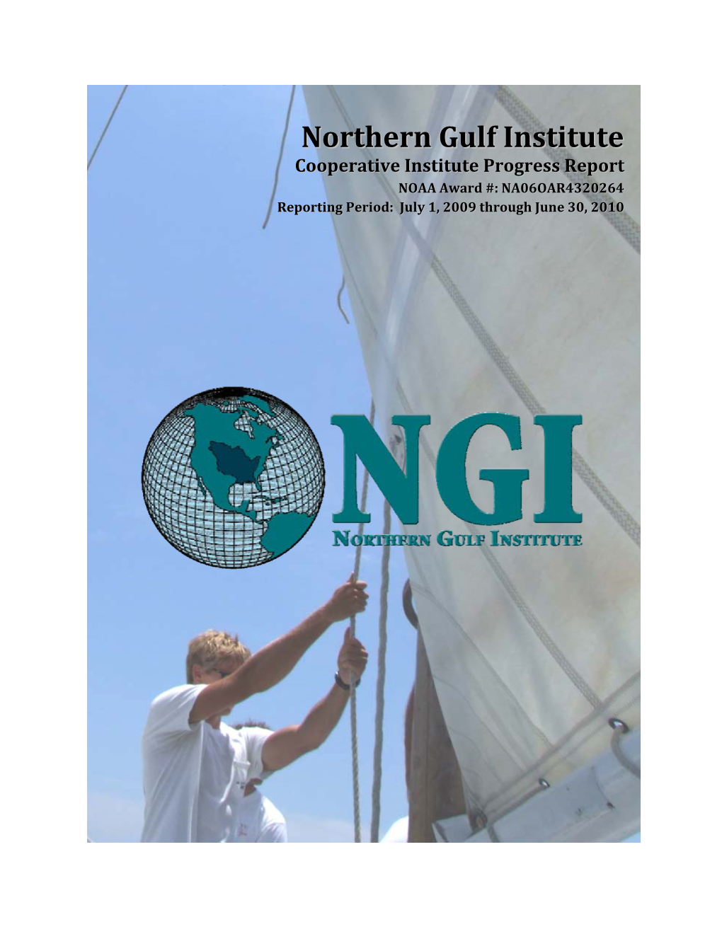 NGI Progress Report 2010