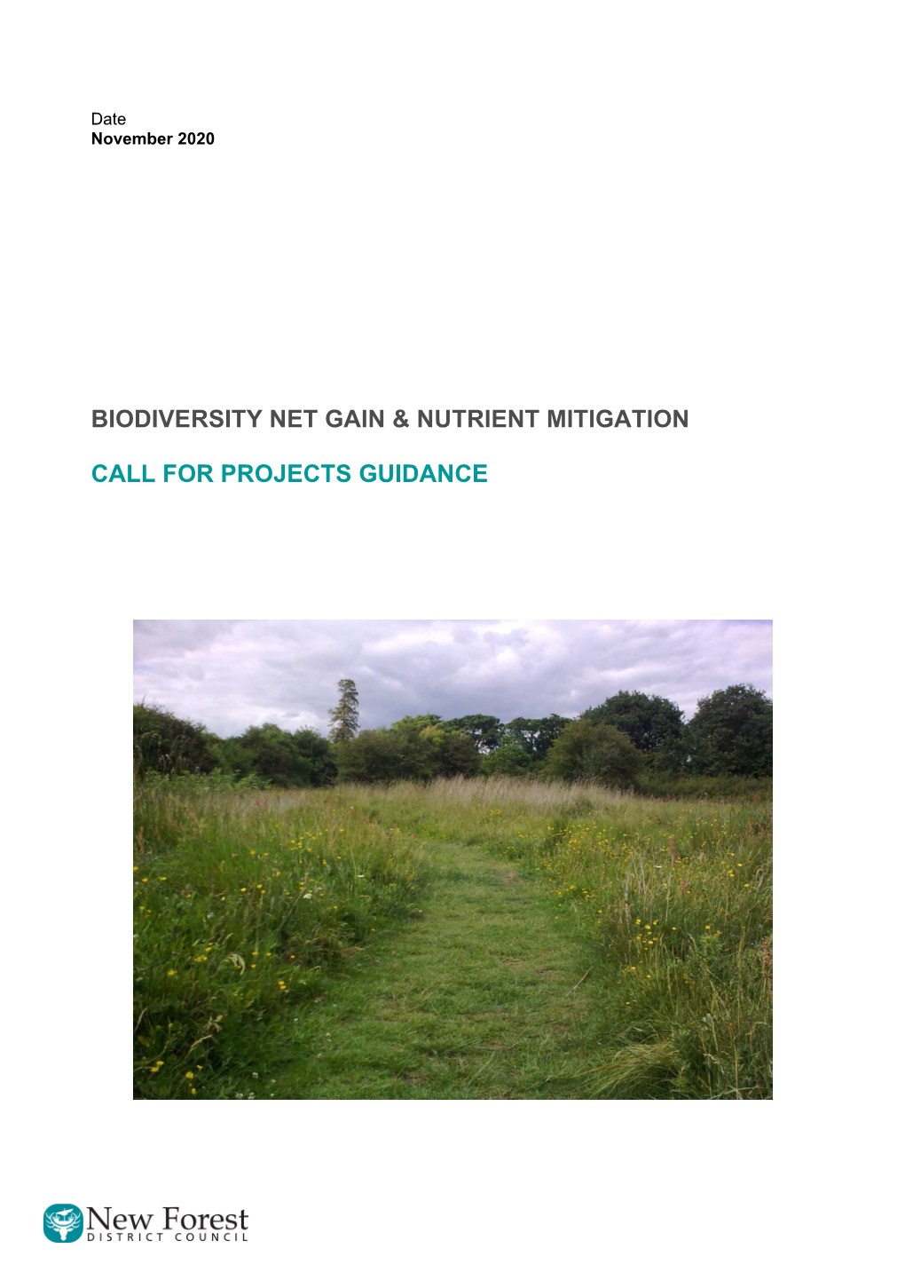 Biodiversity Net Gain and Nutrient Mitigation Call for Projects