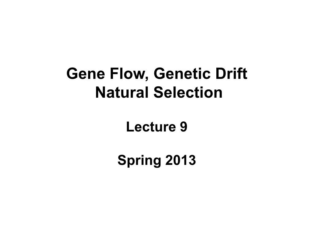 Gene Flow, Genetic Drift Natural Selection