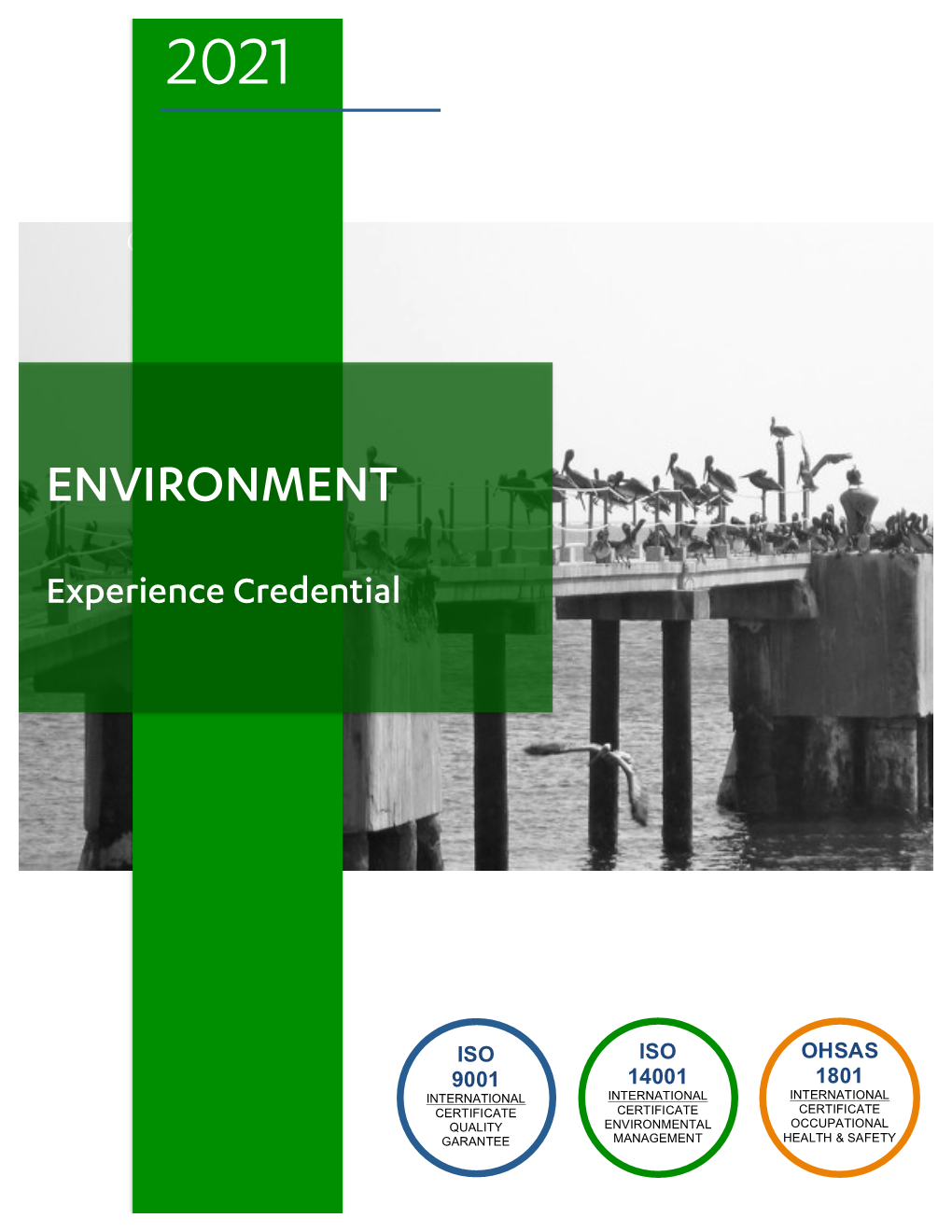 Environmental Consultancy