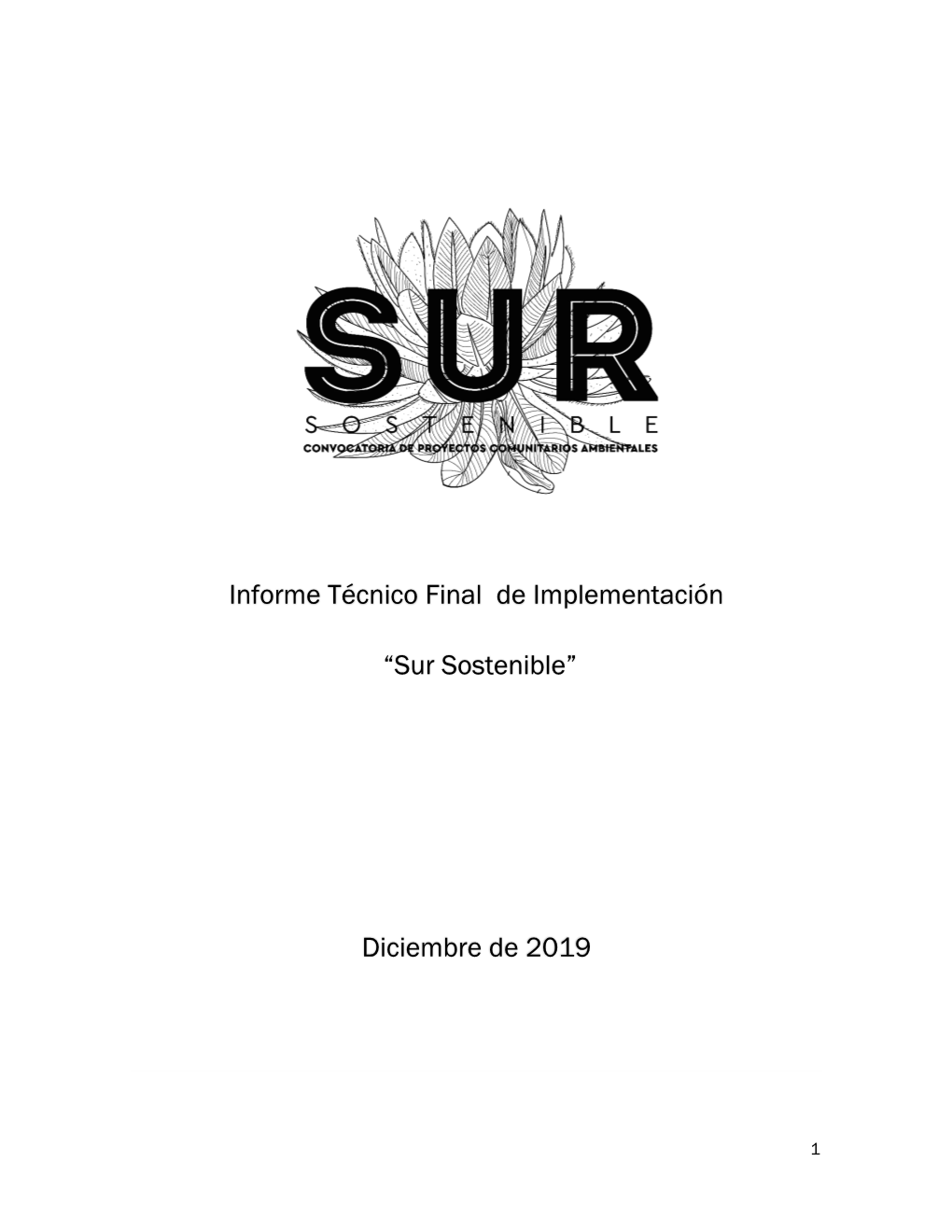 Informe Técnico Final De Implementación “Sur Sostenible” Diciembre De 2019