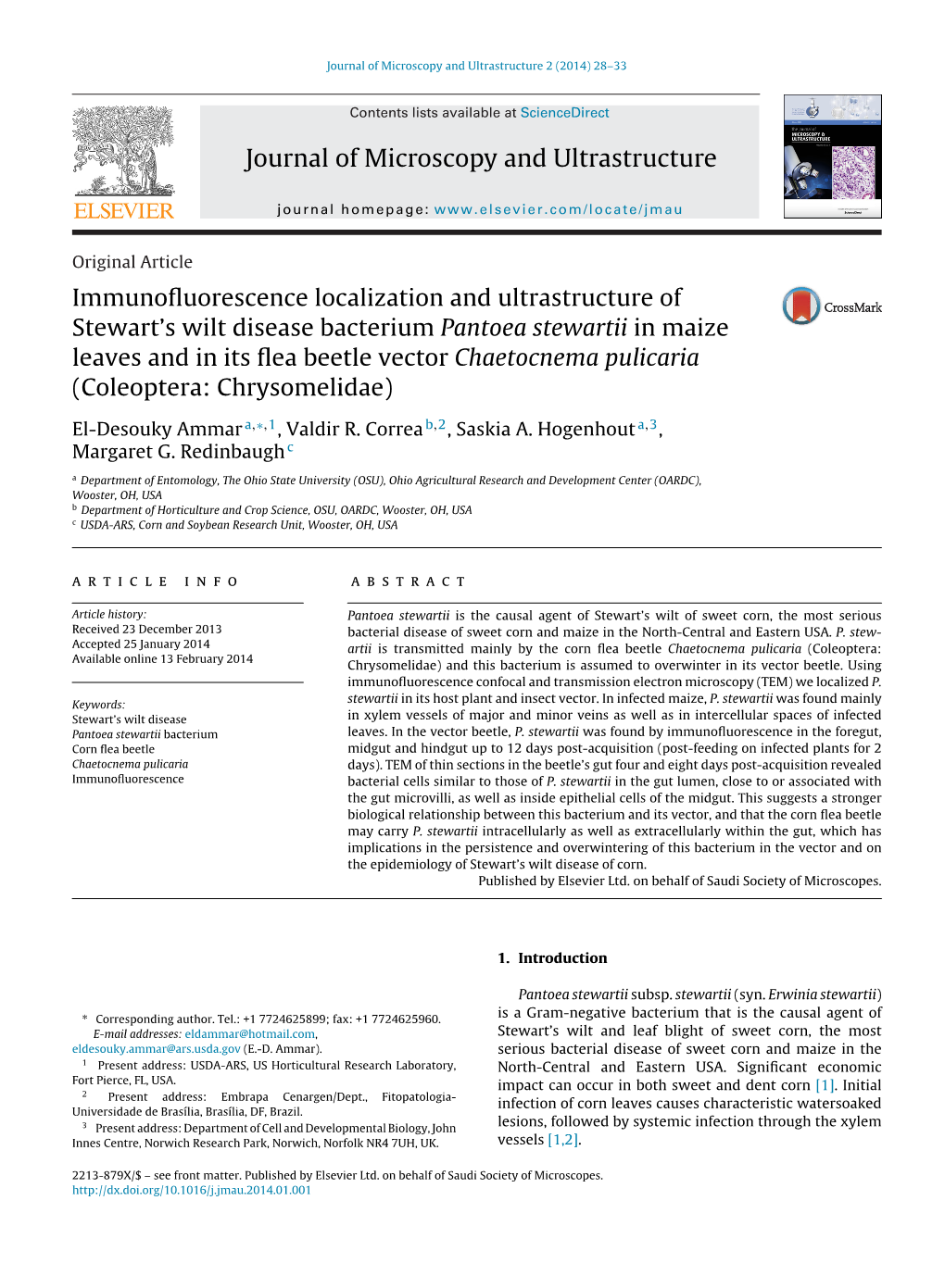 Immunofluorescence Localization and Ultrastructure of Stewart's Wilt