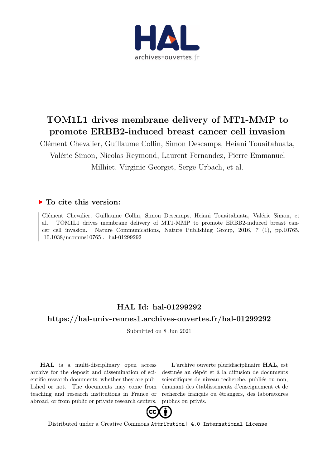 TOM1L1 Drives Membrane Delivery of MT1-MMP to Promote ERBB2