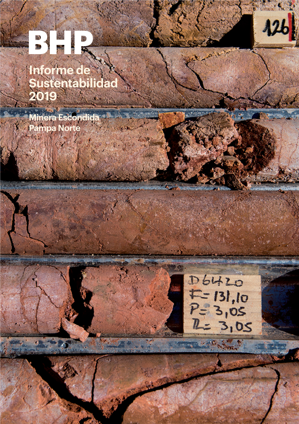 Informe De Sustentabilidad 2019 De BHP Chile, Standards