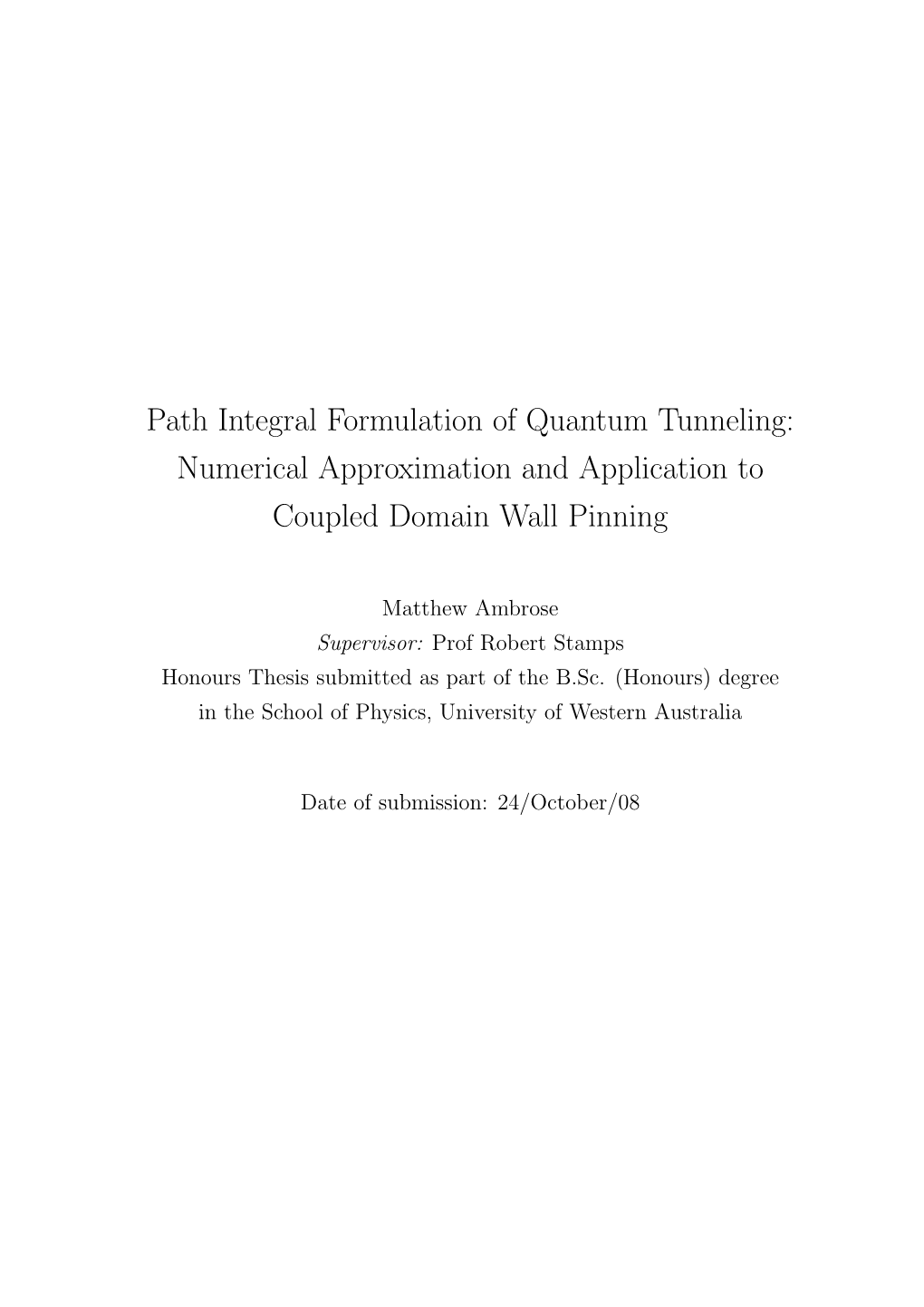 Path Integral Formulation of Quantum Tunneling: Numerical Approximation and Application to Coupled Domain Wall Pinning