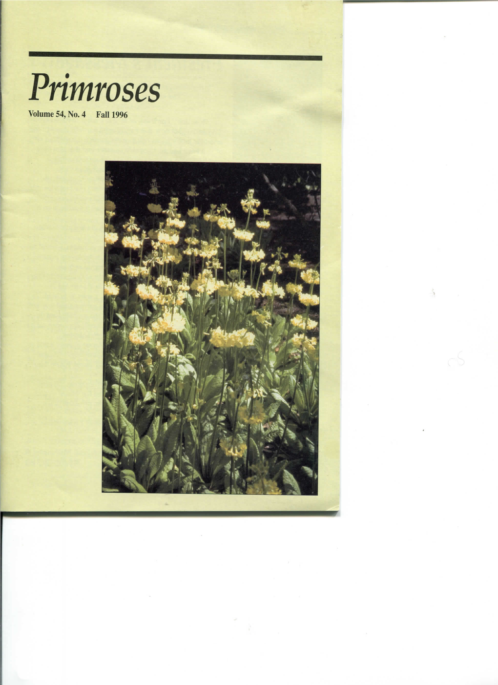 Primroses Volume 54, No