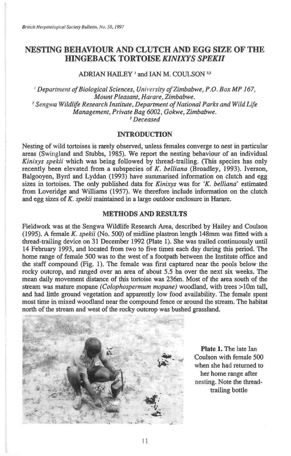 Nesting Behaviour and Clutch and Egg Size of the Hingeback Tortoise Kinixys Spekii