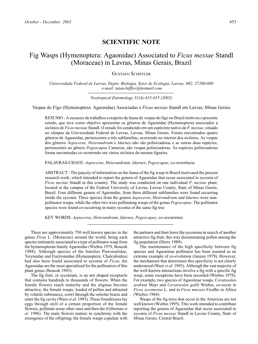 Fig Wasps (Hymenoptera: Agaonidae) Associated to Ficus Mexiae Standl (Moraceae) in Lavras, Minas Gerais, Brazil