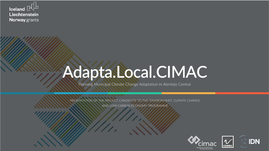 1 Planning Municipal Climate Change Adaptation in Alentejo Central