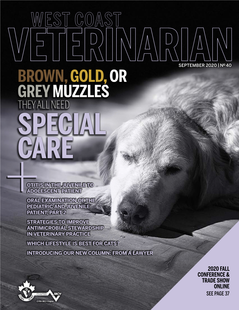 SEPTEMBER 2020 | No 40 BROWN, GOLD, OR GREY MUZZLES THEY ALL NEED SPECIAL CARE