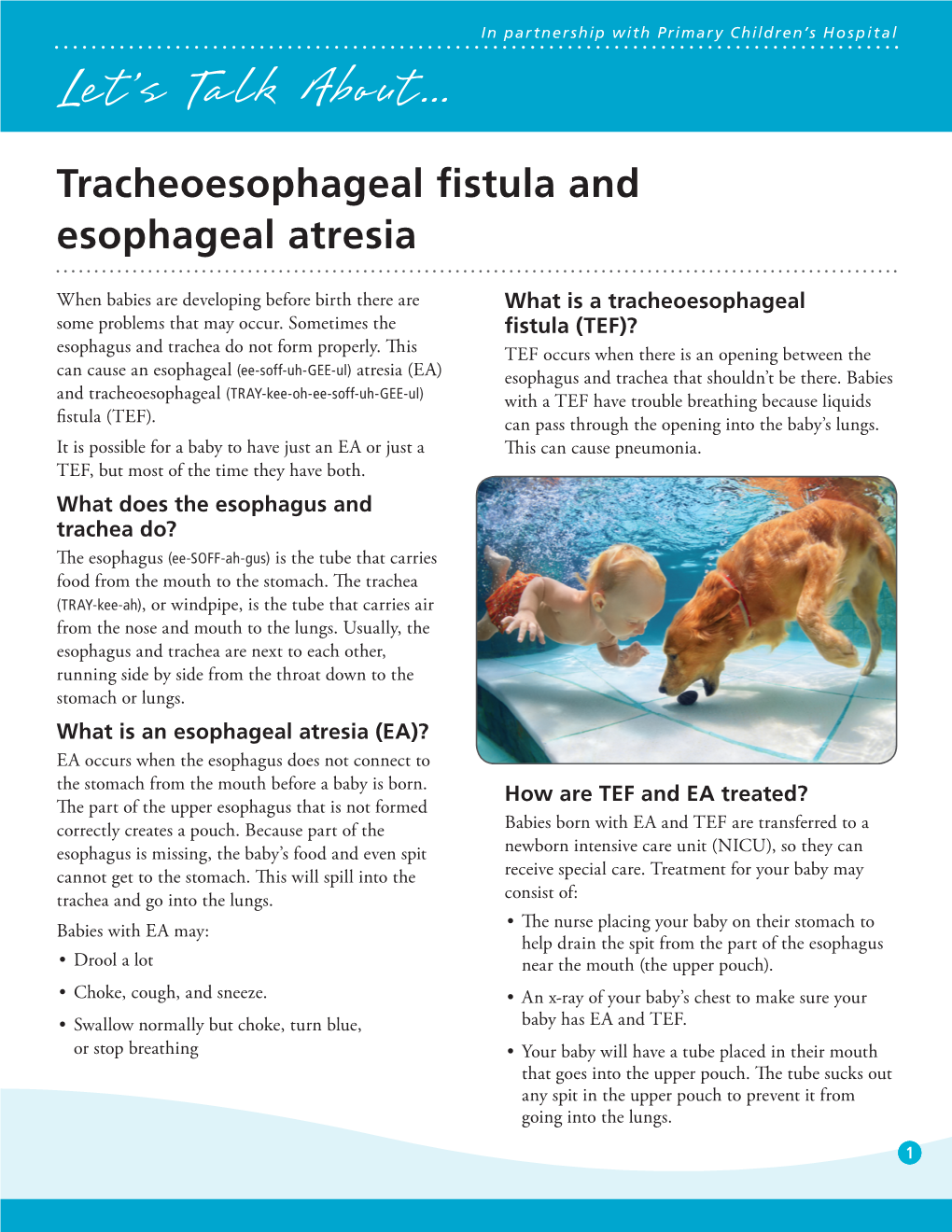 Tracheoesophageal Fistula and Esophageal Atresia