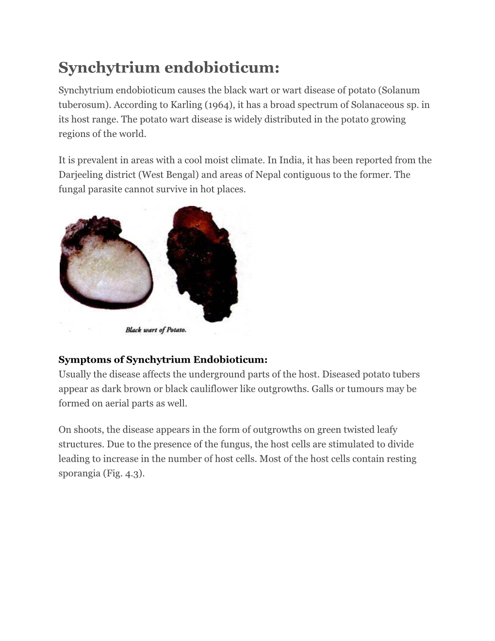 Synchytrium Endobioticum: Synchytrium Endobioticum Causes the Black Wart Or Wart Disease of Potato (Solanum Tuberosum)