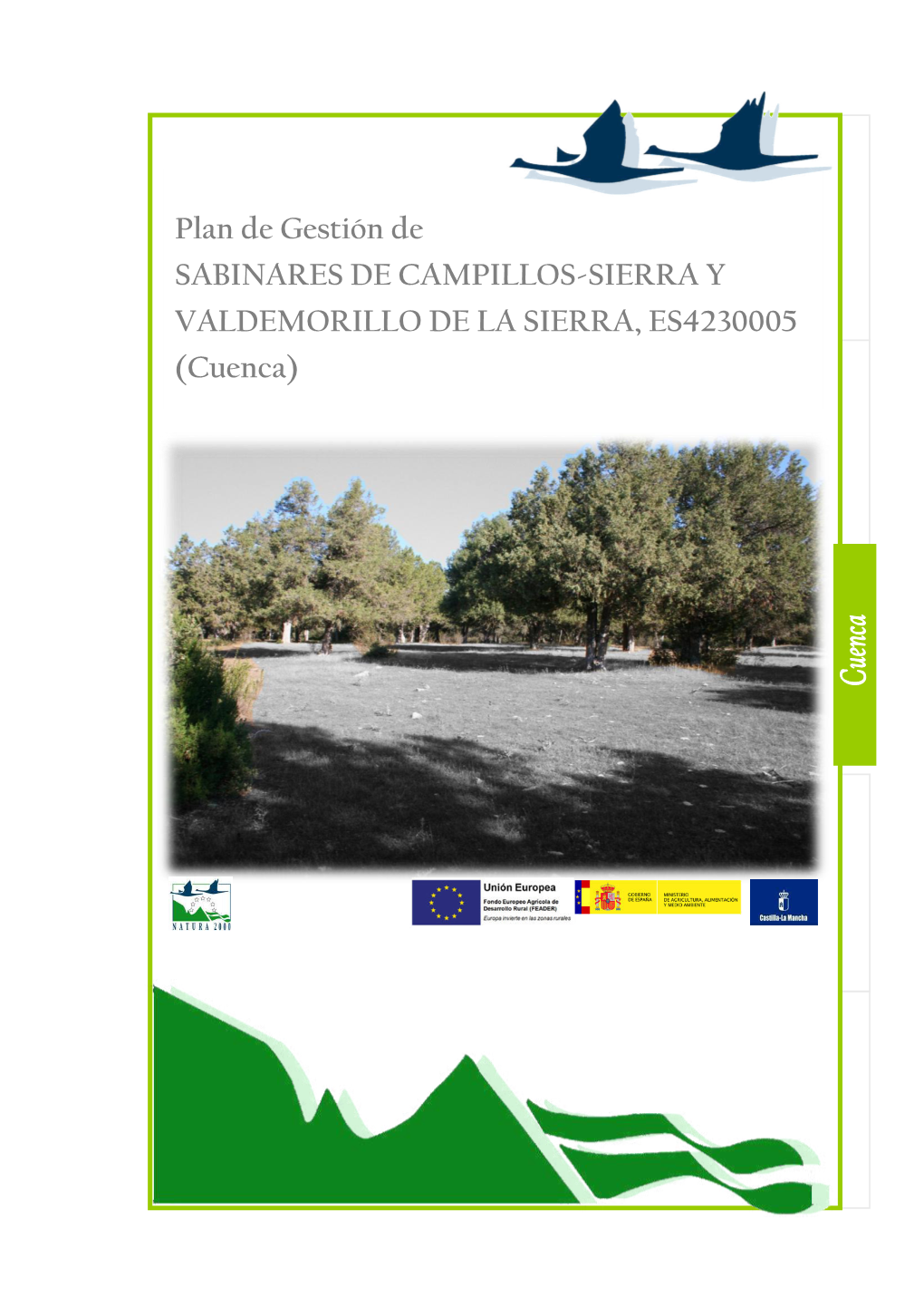 Plan De Gestión De SABINARES DE CAMPILLOS-SIERRA Y VALDEMORILLO DE LA SIERRA, ES4230005 (Cuenca)