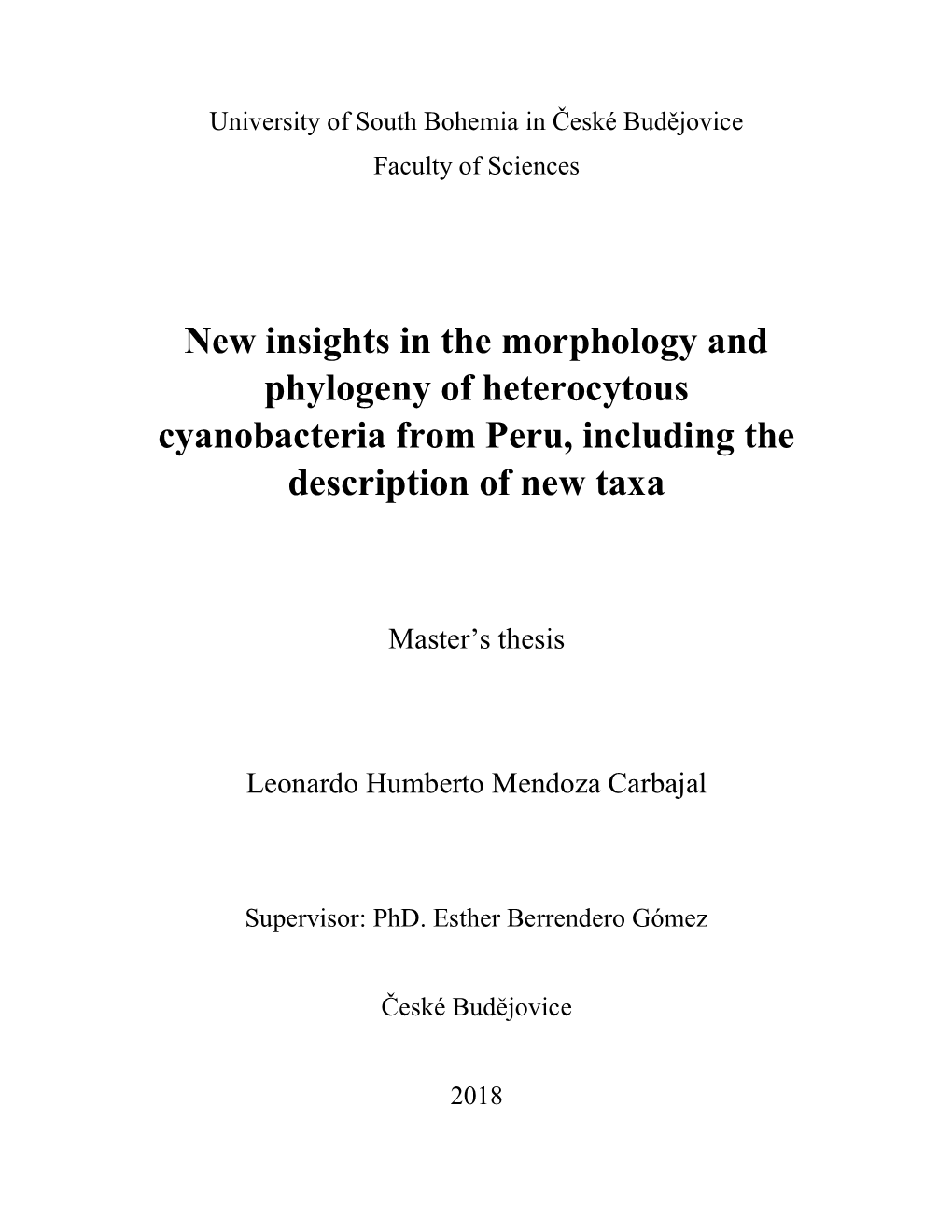 New Insights in the Morphology and Phylogeny of Heterocytous Cyanobacteria from Peru, Including the Description of New Taxa