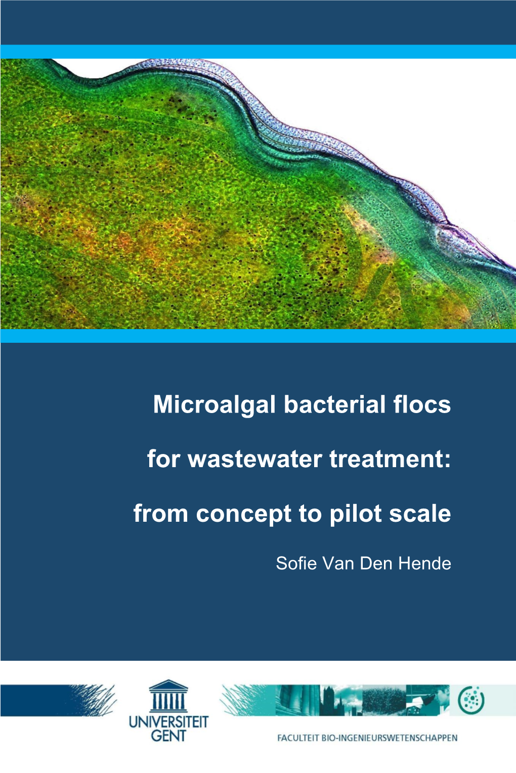 Microalgal Bacterial Flocs for Wastewater Treatment: from Concept to Pilot Scale