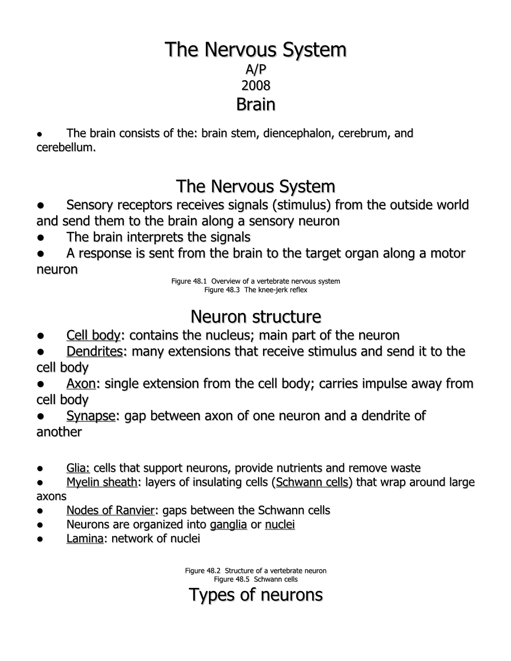 The Nervous System