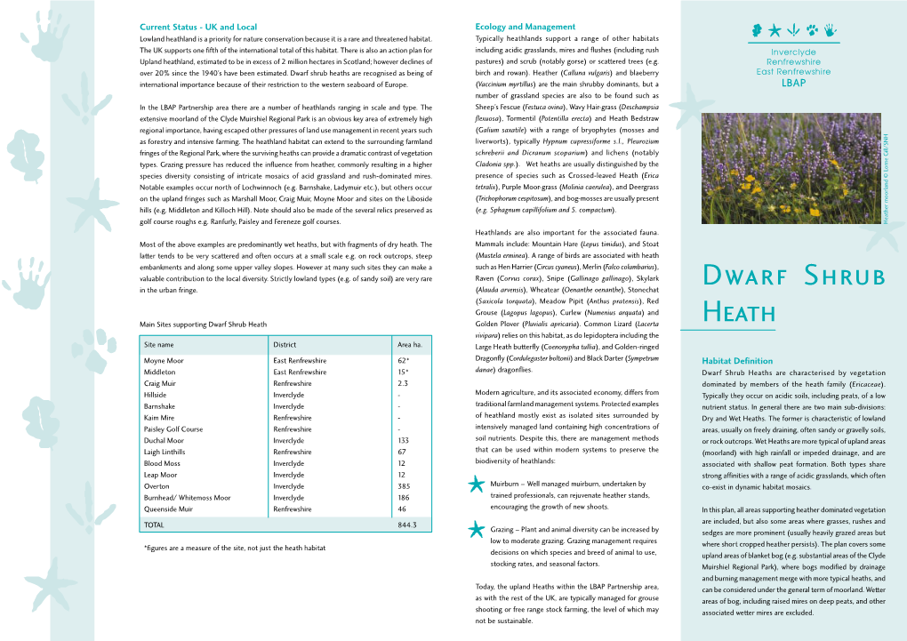 Dwarf Shrub Heaths Are Recognised As Being of Birch and Rowan)