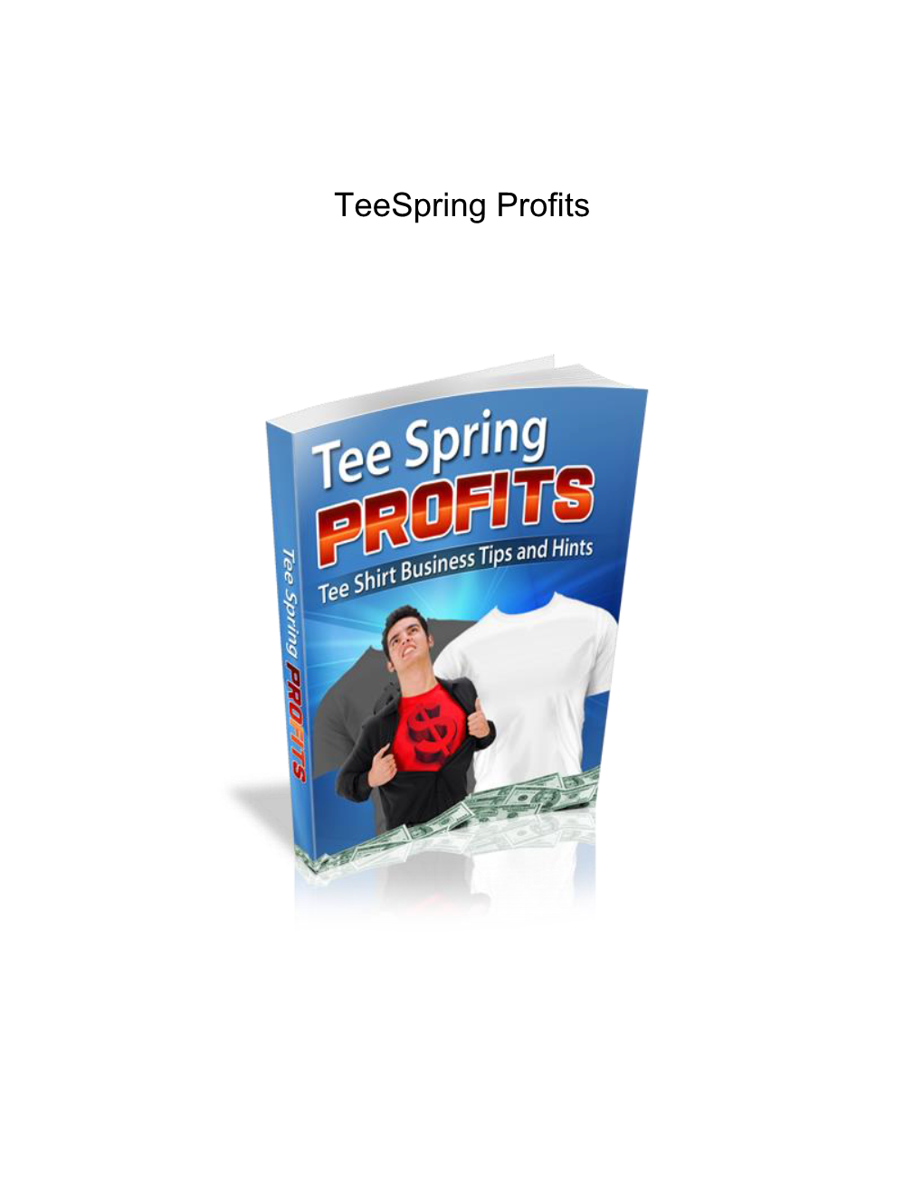 Teespring Profits