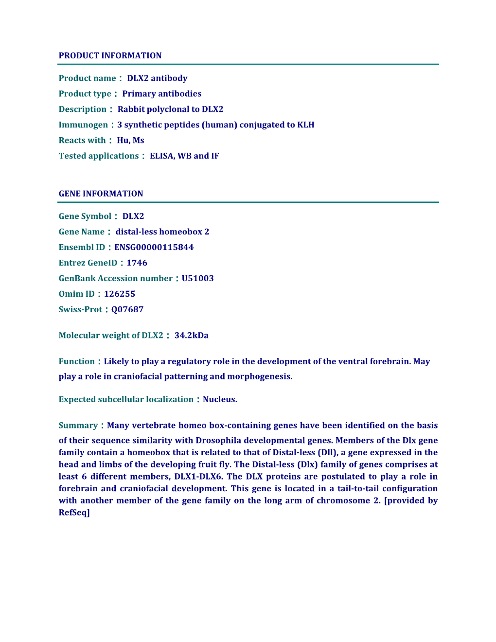 DLX2 Antibody Product Type