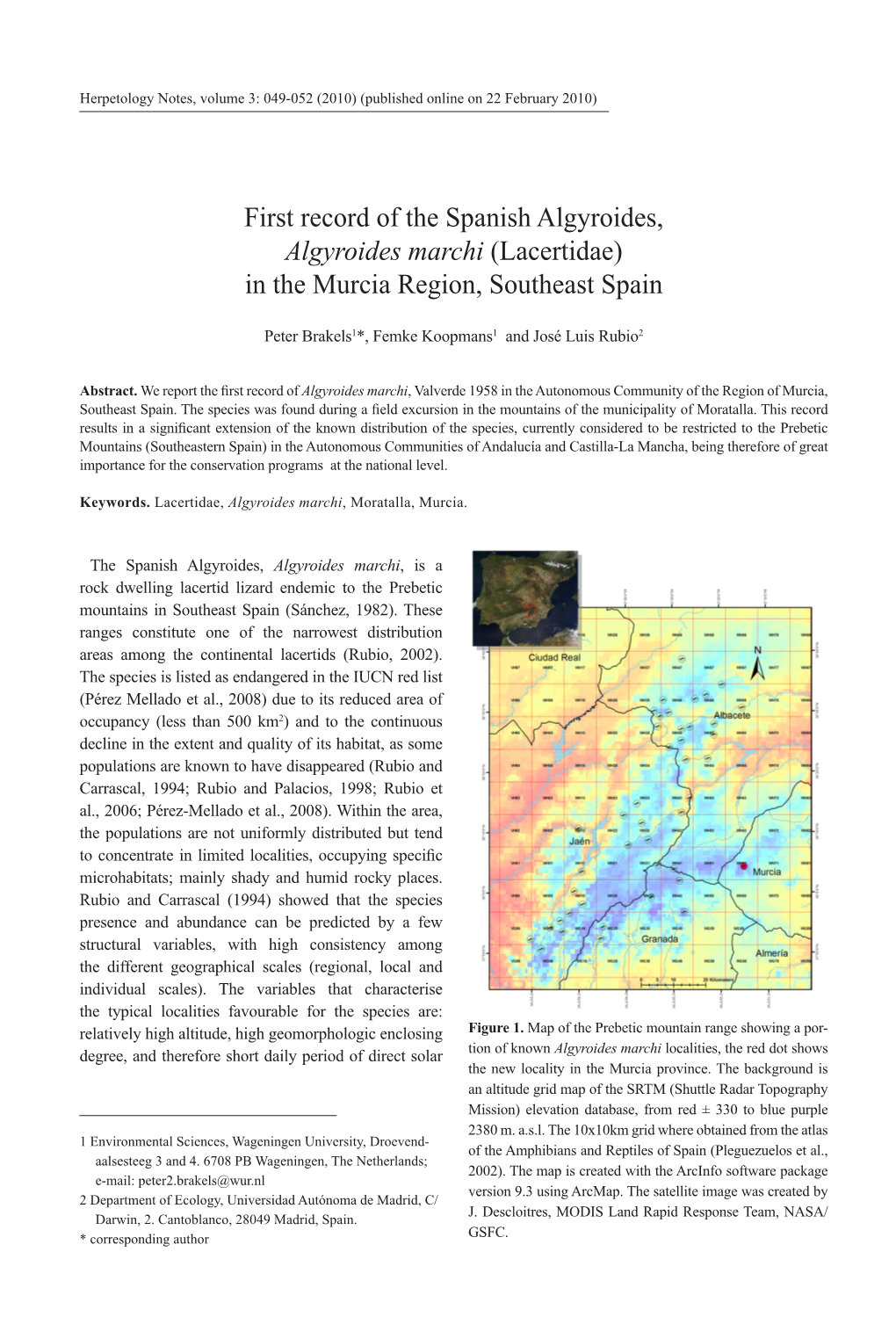 First Record of the Spanish Algyroides, Algyroides Marchi (Lacertidae) in the Murcia Region, Southeast Spain