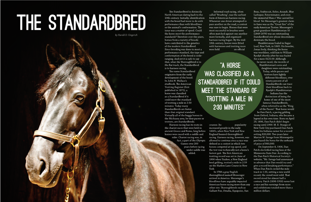 A Horse Was Classified As a Standardbred If It Could