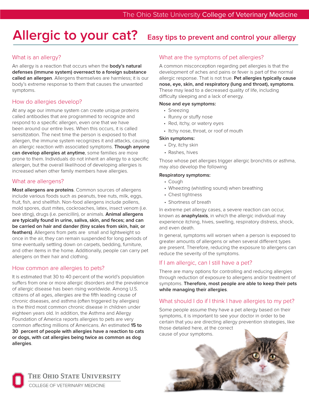 Allergic to Your Cat? Easy Tips to Prevent and Control Your Allergy