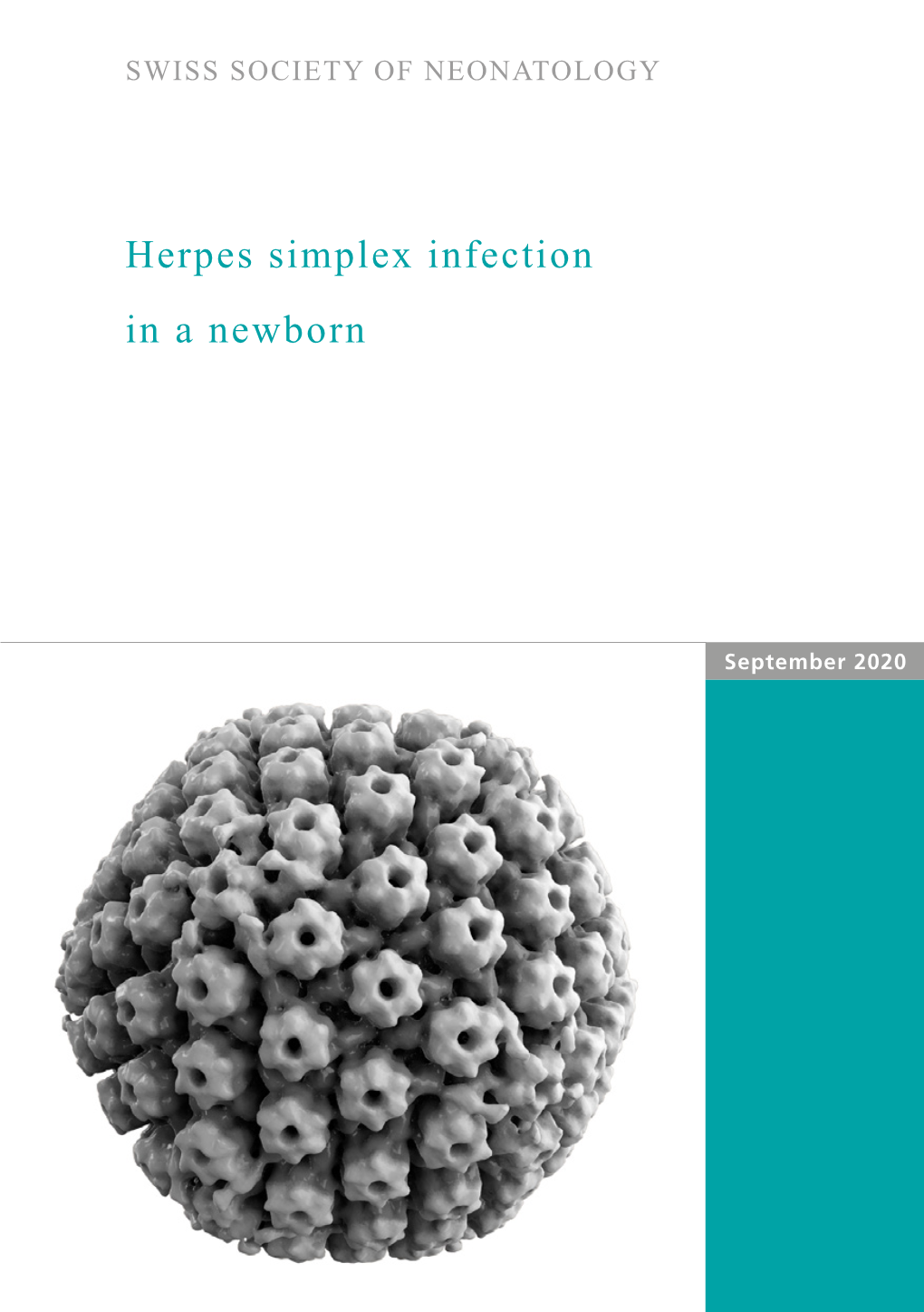 Herpes Simplex Infection in a Newborn